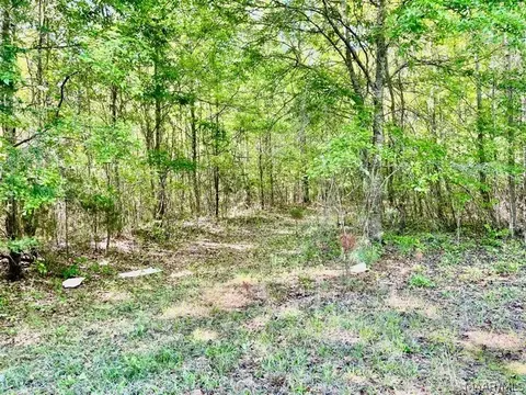 0 Union Rd, Eclectic, AL 36024 photo 12