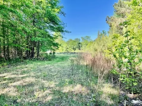 0 Union Rd, Eclectic, AL 36024 photo 2