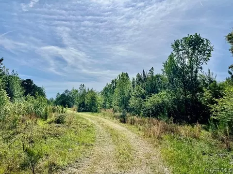 0 Union Rd, Eclectic, AL 36024 photo 3