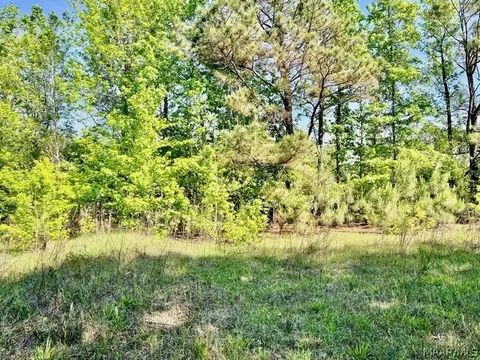 0 Union Rd, Eclectic, AL 36024 photo 4