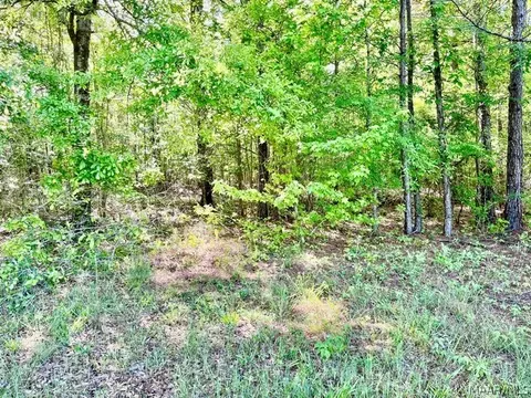 0 Union Rd, Eclectic, AL 36024 photo 16