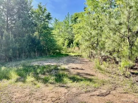 0 Union Rd, Eclectic, AL 36024 photo 9
