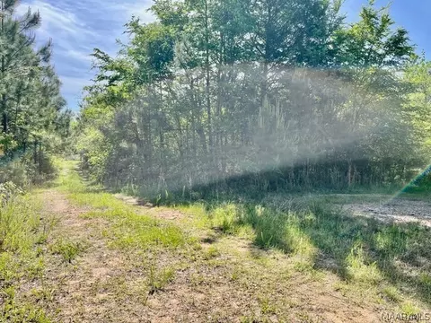 0 Union Rd, Eclectic, AL 36024 photo 10