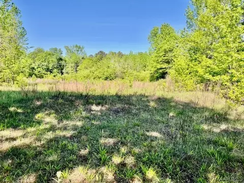 0 Union Rd, Eclectic, AL 36024 photo 13