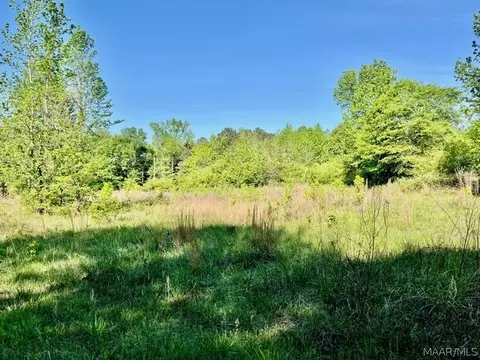0 Union Rd, Eclectic, AL 36024 photo 14