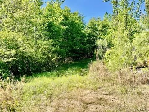 0 Union Rd, Eclectic, AL 36024 photo 11