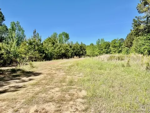 0 Union Rd, Eclectic, AL 36024