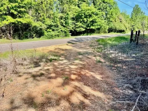 0 Union Rd, Eclectic, AL 36024 photo 6