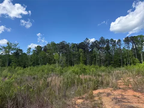 0 County Rd 45 Rd, Rockford, AL 35136