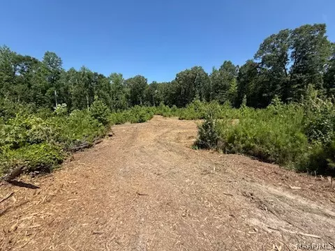 0 County Rd 45 Rd, Rockford, AL 35136