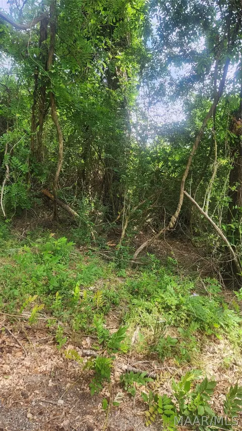 0000 Watkins Ave, Tuskegee, AL 36083