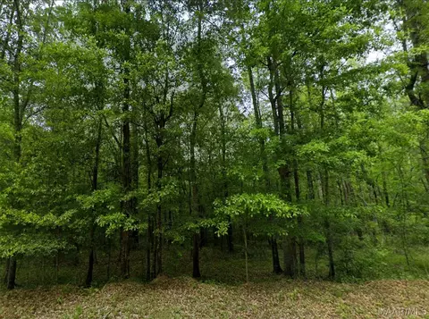 0 Pine Grove Rd, Tuskegee, AL 36083