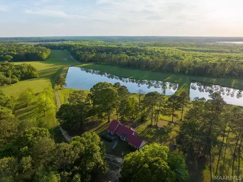 0 Highway 239, Midway, AL 36016