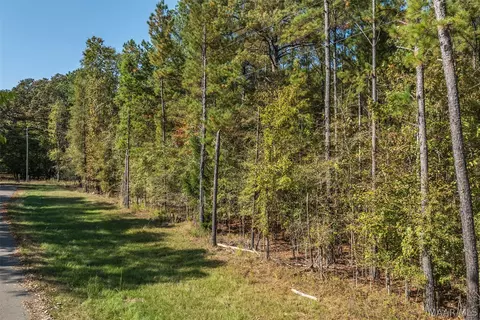 000 Randall Rd, Cecil, AL 36013 photo 4