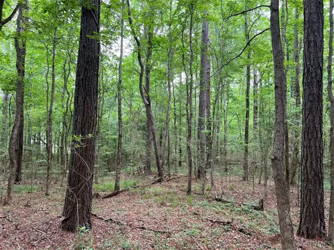 341 Pine Acres Acres, Ramer, AL 36069 photo 12