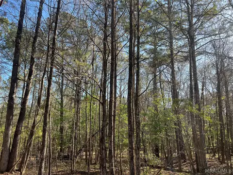 341 Pine Acres Acres, Ramer, AL 36069 photo 6