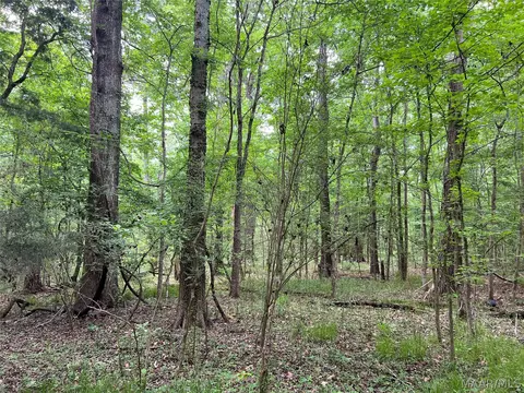 341 Pine Acres Acres, Ramer, AL 36069 photo 14