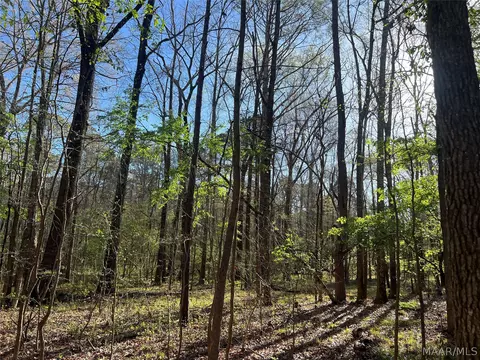 341 Pine Acres Acres, Ramer, AL 36069 photo 7