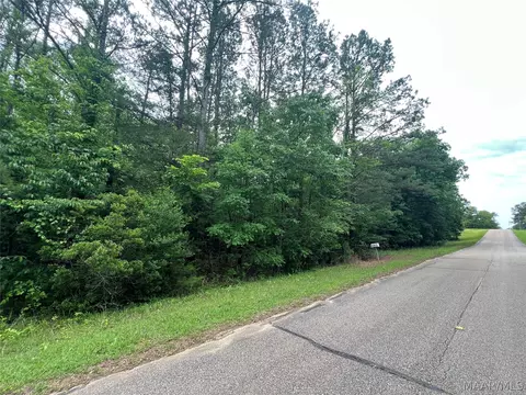 341 Pine Acres Acres, Ramer, AL 36069 photo 9
