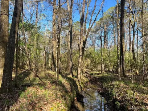 341 Pine Acres Acres, Ramer, AL 36069 photo 8