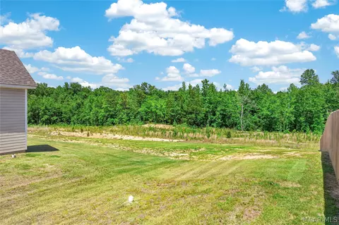 Exterior - 96 Madix Dr, Eclectic, AL 36024 photo 10 of 10