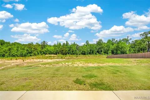 Exterior - 96 Madix Dr, Eclectic, AL 36024 photo 9 of 10