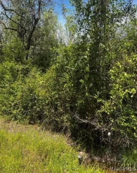 0 County Road 40 Rte W, Prattville, AL 36067