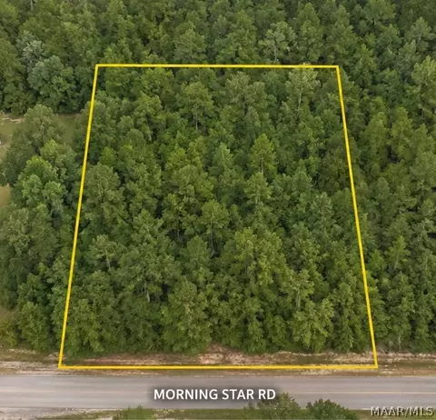 0 Morning Star Rd, Whatley, AL 36482