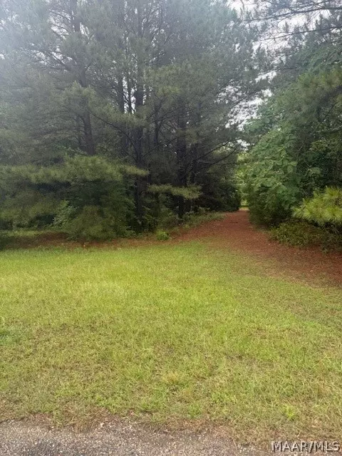 3 Cottrell Way, Autaugaville, AL 36003