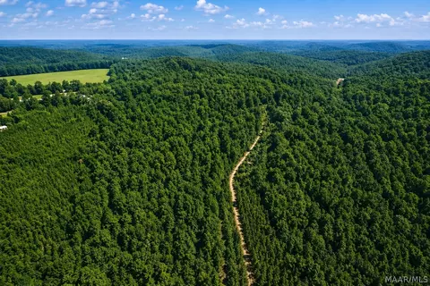 0 County Road 459, Clanton, AL 35045 photo 3