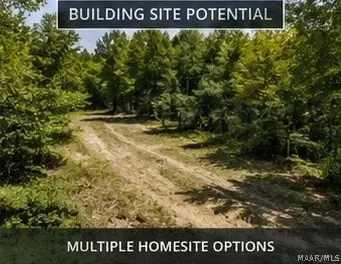 0 County Road 459, Clanton, AL 35045 photo 4