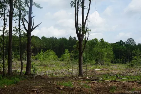 1300 Jackson Rd, Fitzpatrick, AL 36029 photo 2
