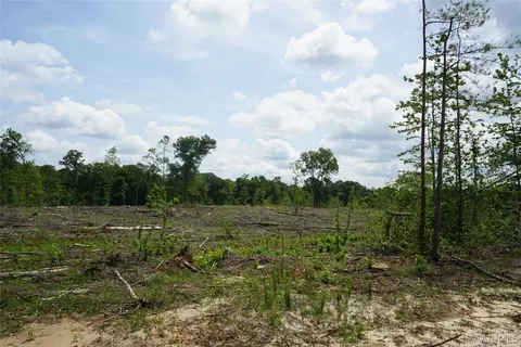 1300 Jackson Rd, Fitzpatrick, AL 36029 photo 3