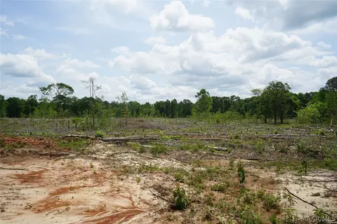 1300 Jackson Rd, Fitzpatrick, AL 36029 photo 4