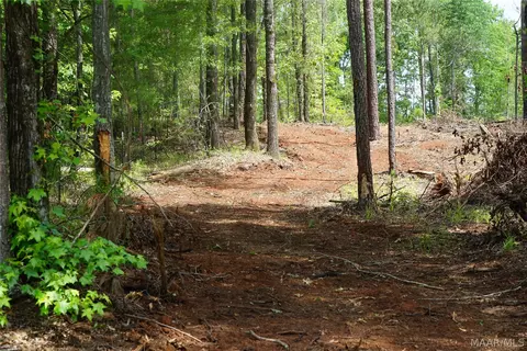 1300 Jackson Rd, Fitzpatrick, AL 36029