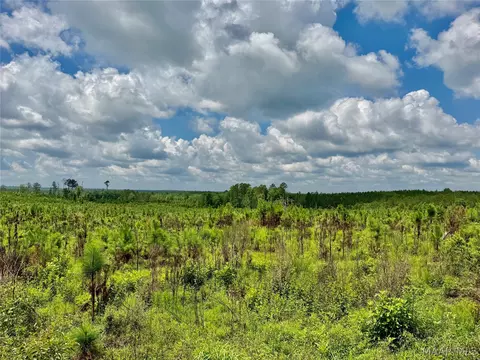 00 King Cemetery Rd, Evergreen, AL 36401