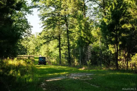 249 Old Sellers Rd, Ramer, AL 36069 photo 5