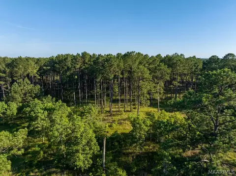 249 Old Sellers Rd, Ramer, AL 36069 photo 22