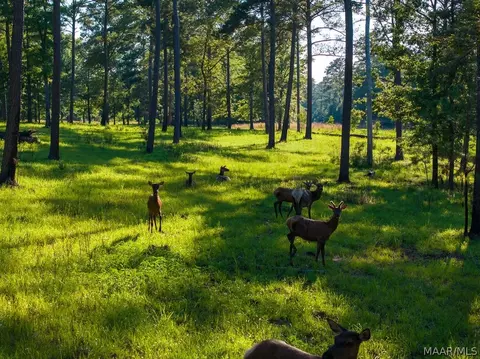 249 Old Sellers Rd, Ramer, AL 36069 photo 13