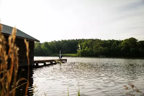 249 Old Sellers Rd, Ramer, AL 36069 photo 36