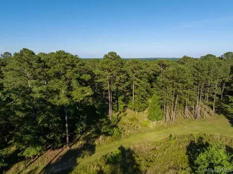 249 Old Sellers Rd, Ramer, AL 36069 photo 23