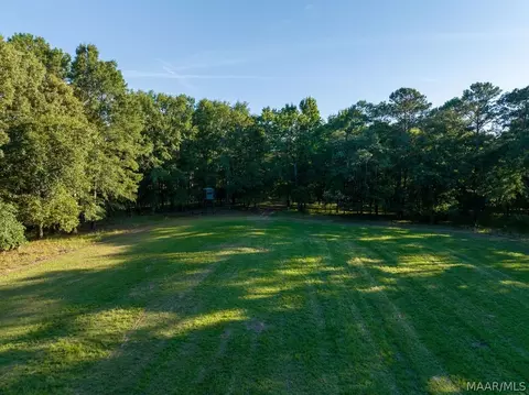 249 Old Sellers Rd, Ramer, AL 36069 photo 24