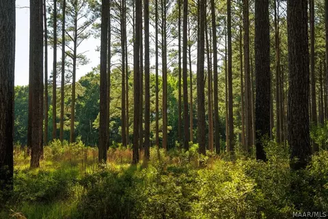 249 Old Sellers Rd, Ramer, AL 36069 photo 21