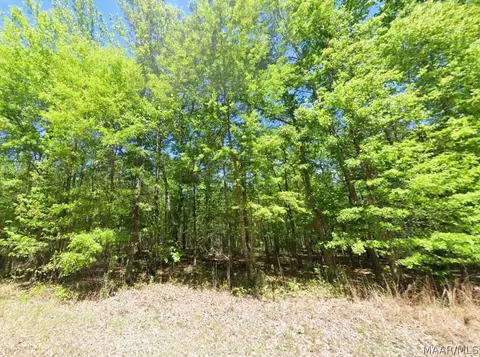 0 County Road 19, Hardaway, AL 36039