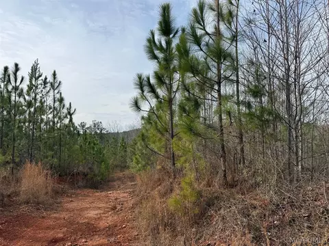 00 Valley Rd, Goodwater, AL 35106