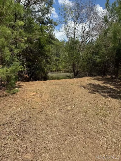 00 W Sprague Junction Rd, Ramer, AL 36043 photo 3