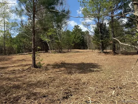 00 W Sprague Junction Rd, Ramer, AL 36043 photo 6