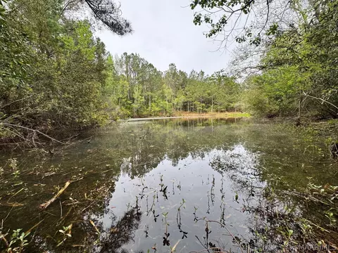 00 W Sprague Junction Rd, Ramer, AL 36043 photo 12