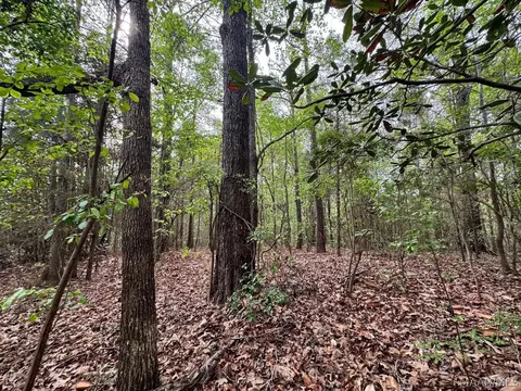 00 W Sprague Junction Rd, Ramer, AL 36043 photo 10