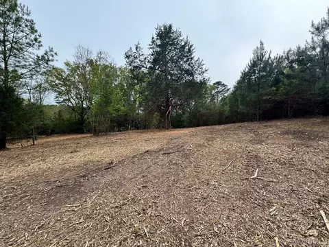 00 W Sprague Junction Rd, Ramer, AL 36043 photo 8